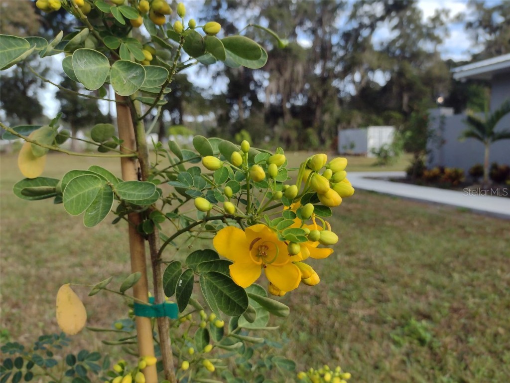 4925 N Us Highway 441 Ocala FL 34475 O6330125 image60