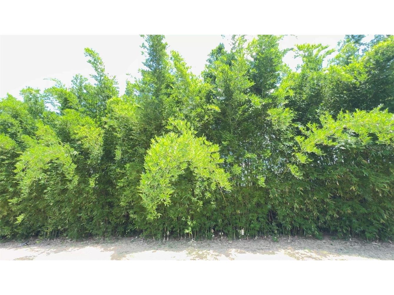 4925 N Us Highway 441 Ocala FL 34475 O6330125 image71