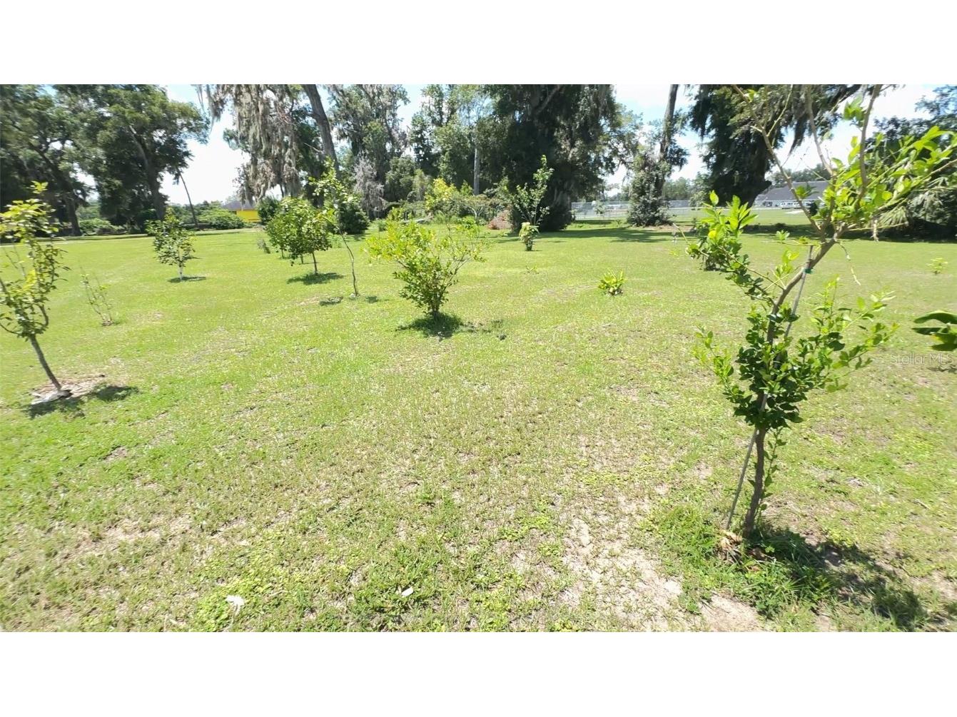 4925 N Us Highway 441 Ocala FL 34475 O6330125 image78