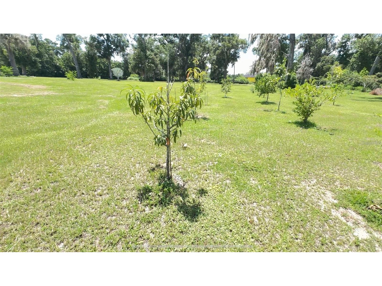 4925 N Us Highway 441 Ocala FL 34475 TB8485434 image48