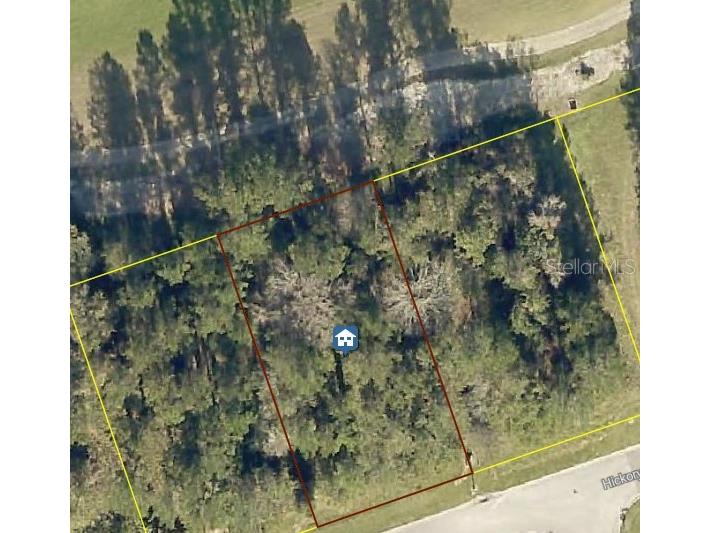 4925 S Hickory Oak Drive Brooksville FL 34601 W7877790 image1