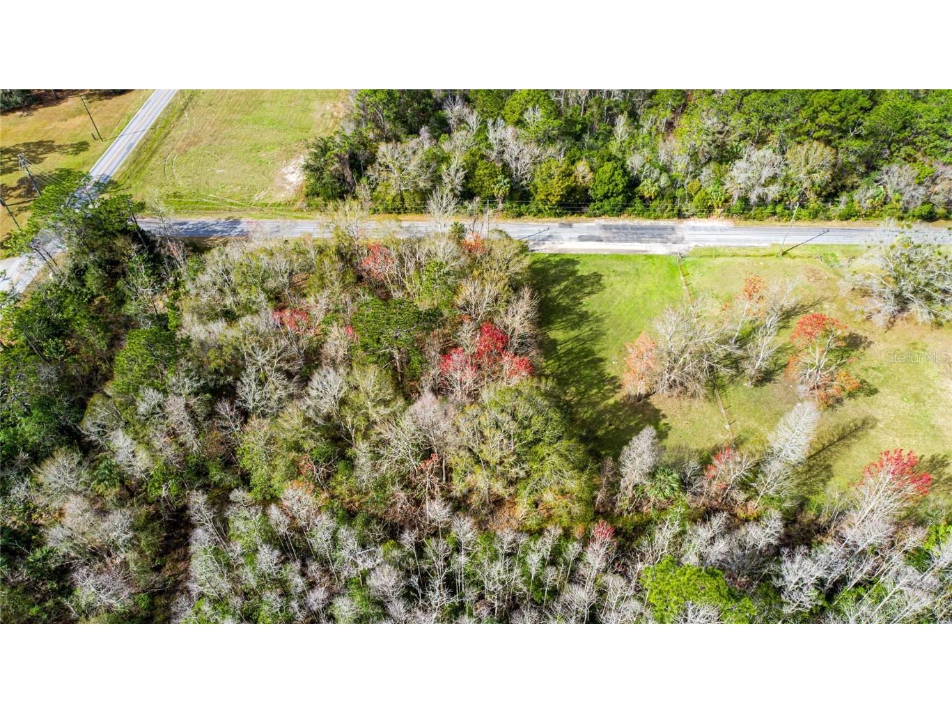 4925 S Morningside Terrace Homosassa FL 34446 T3503379 image1