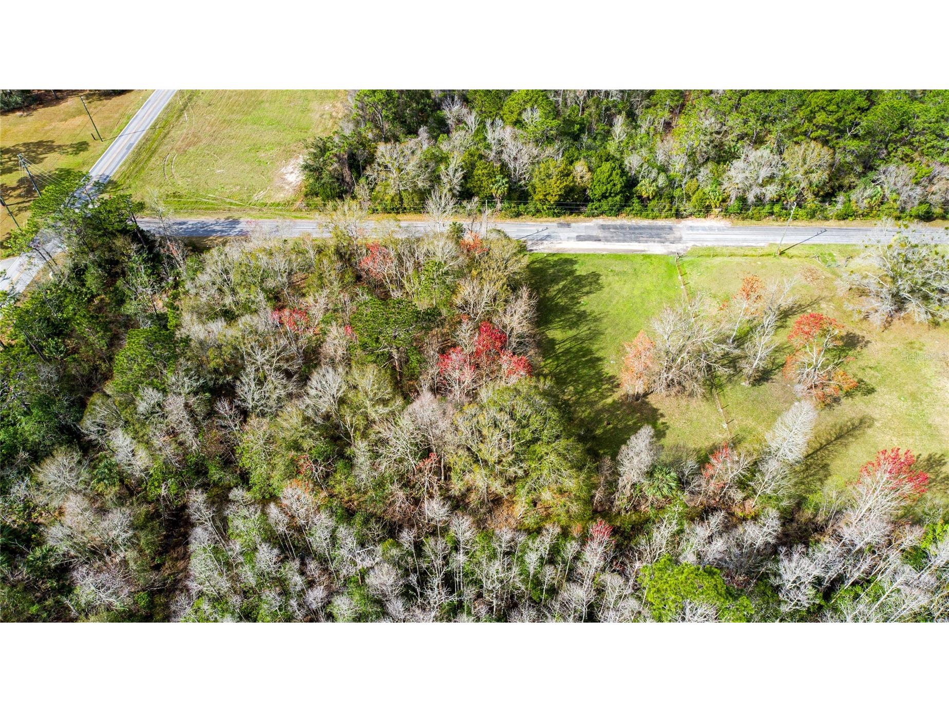 4925 S Morningside Terrace Homosassa FL 34446 W7886914 image1
