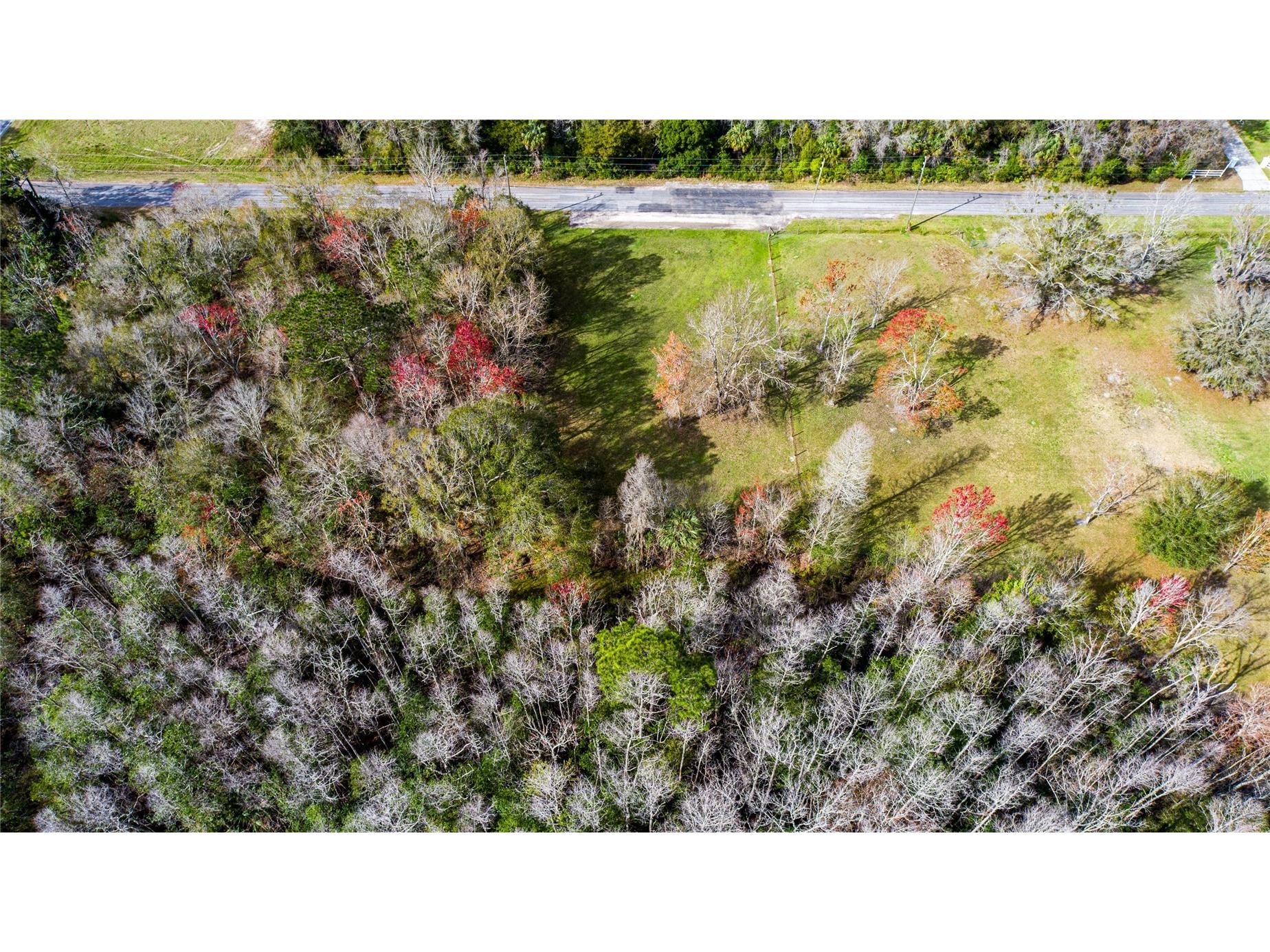 4925 S Morningside Terrace Homosassa FL 34446 W7886914 image2