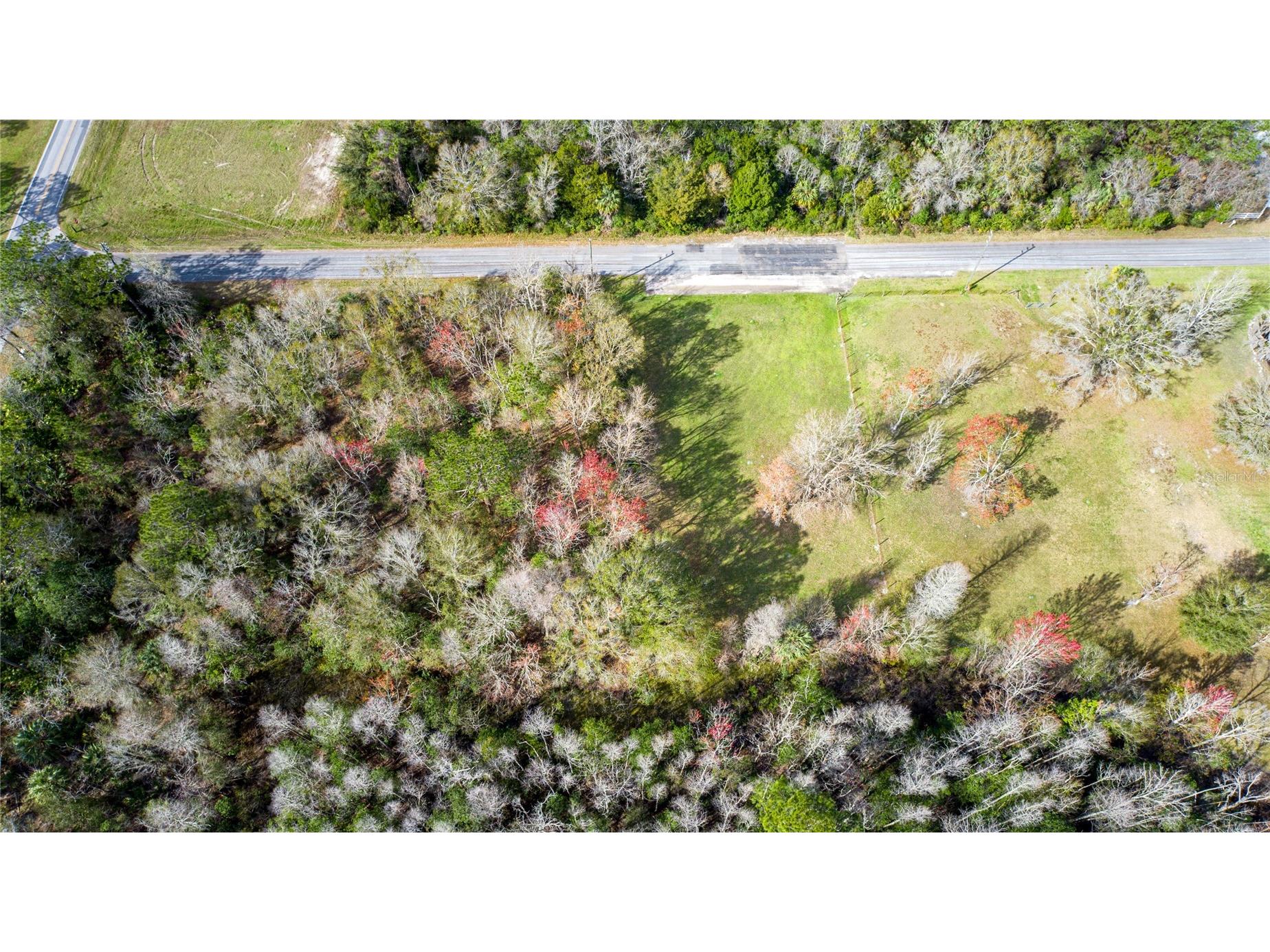 4925 S Morningside Terrace Homosassa FL 34446 W7886914 image6