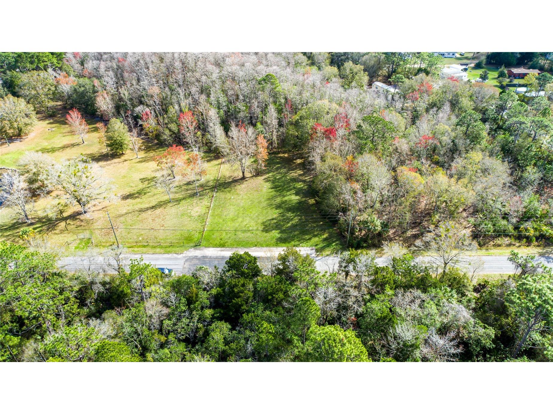 4925 S Morningside Terrace Homosassa FL 34446 W7886914 image7