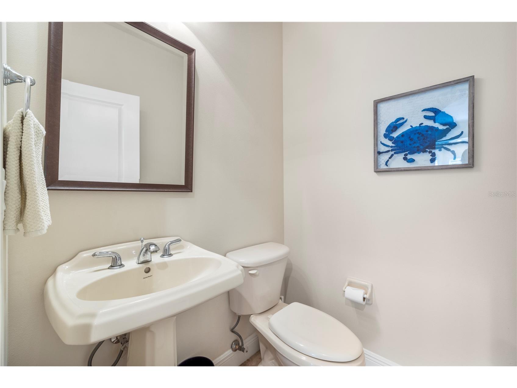 4926 Anniston Circle Tampa FL 33647 TB8484541 image19