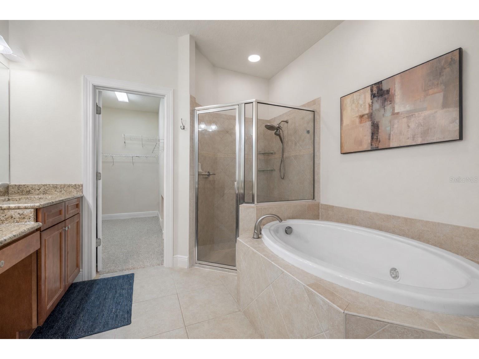 4926 Anniston Circle Tampa FL 33647 TB8484541 image30