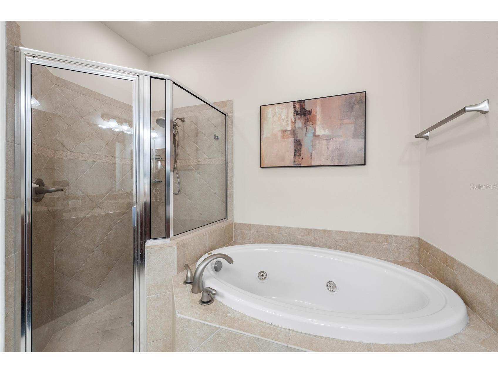 4926 Anniston Circle Tampa FL 33647 TB8484541 image31