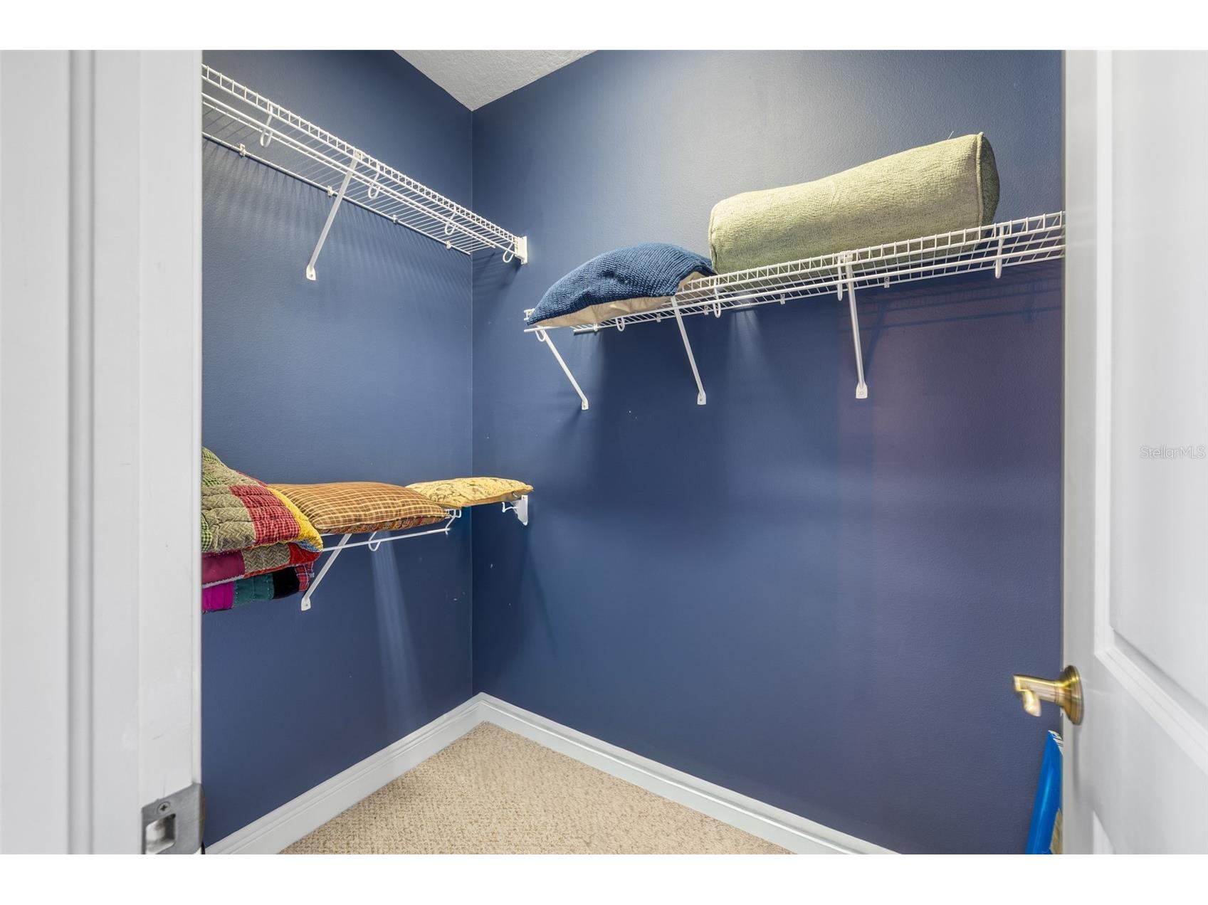 4926 Anniston Circle Tampa FL 33647 TB8484541 image45