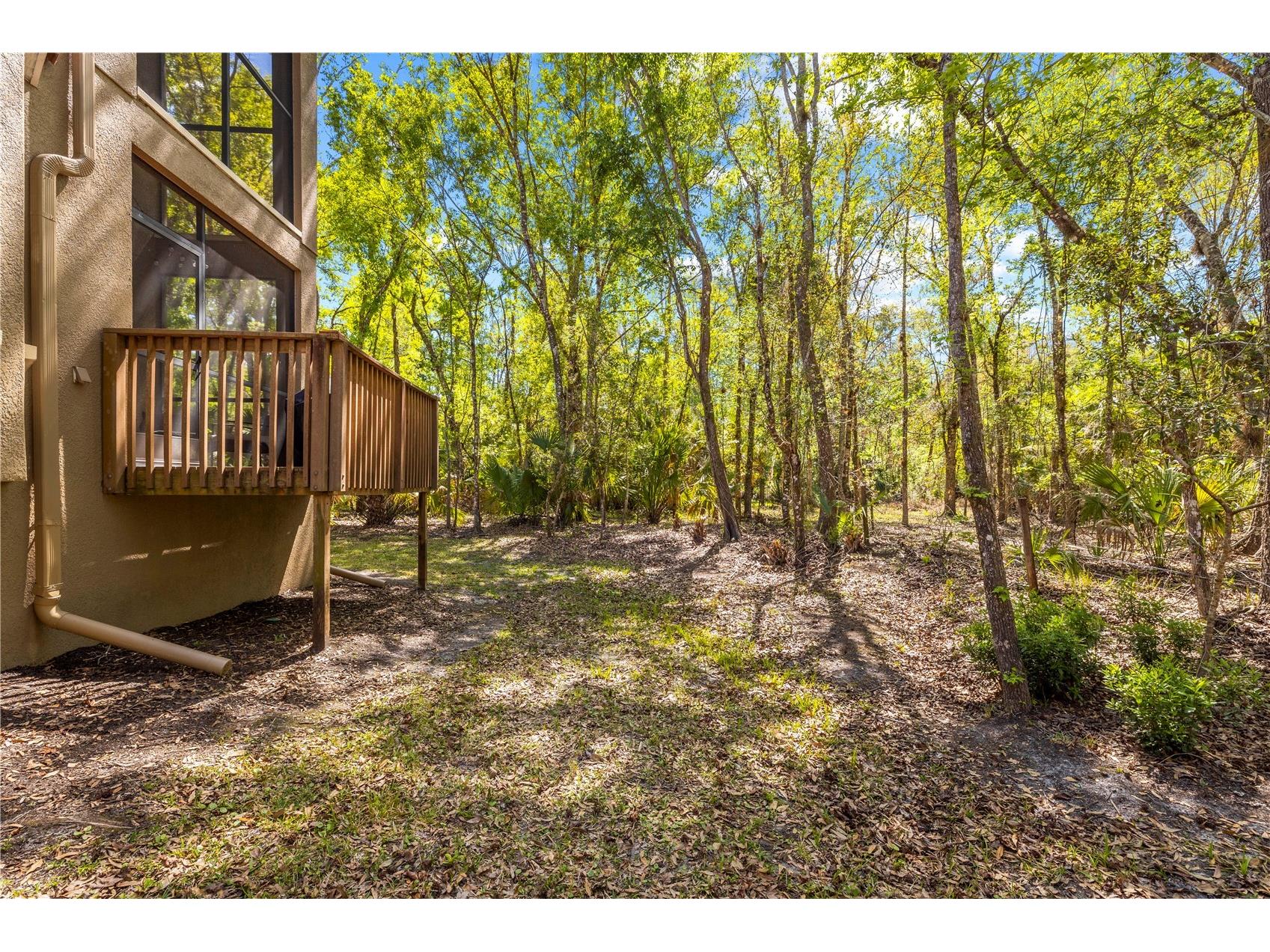 4926 Anniston Circle Tampa FL 33647 TB8484541 image61