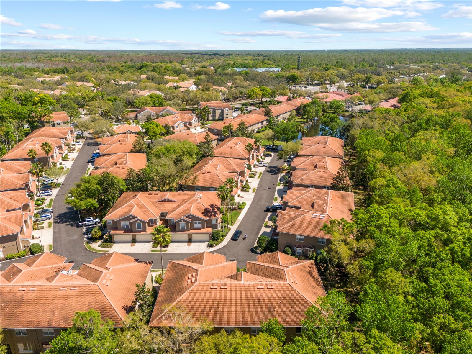 4926 Anniston Circle Tampa FL 33647 TB8484541 image76