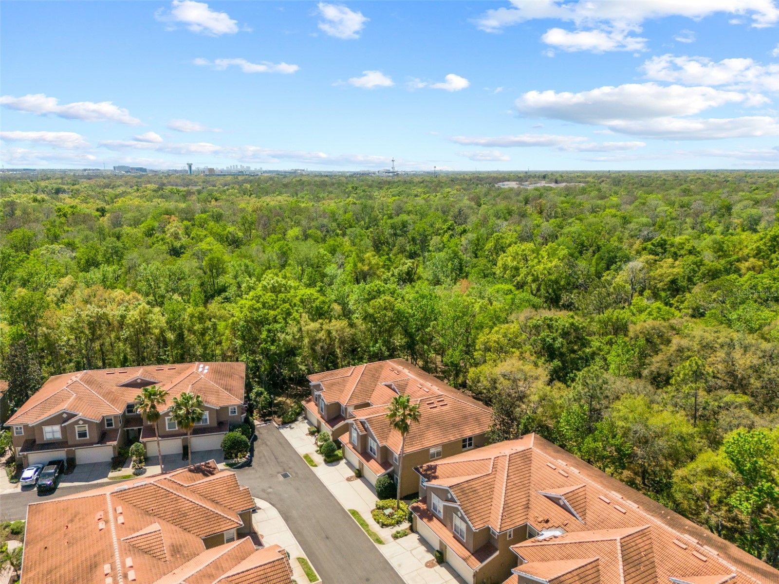4926 Anniston Circle Tampa FL 33647 TB8484541 image77