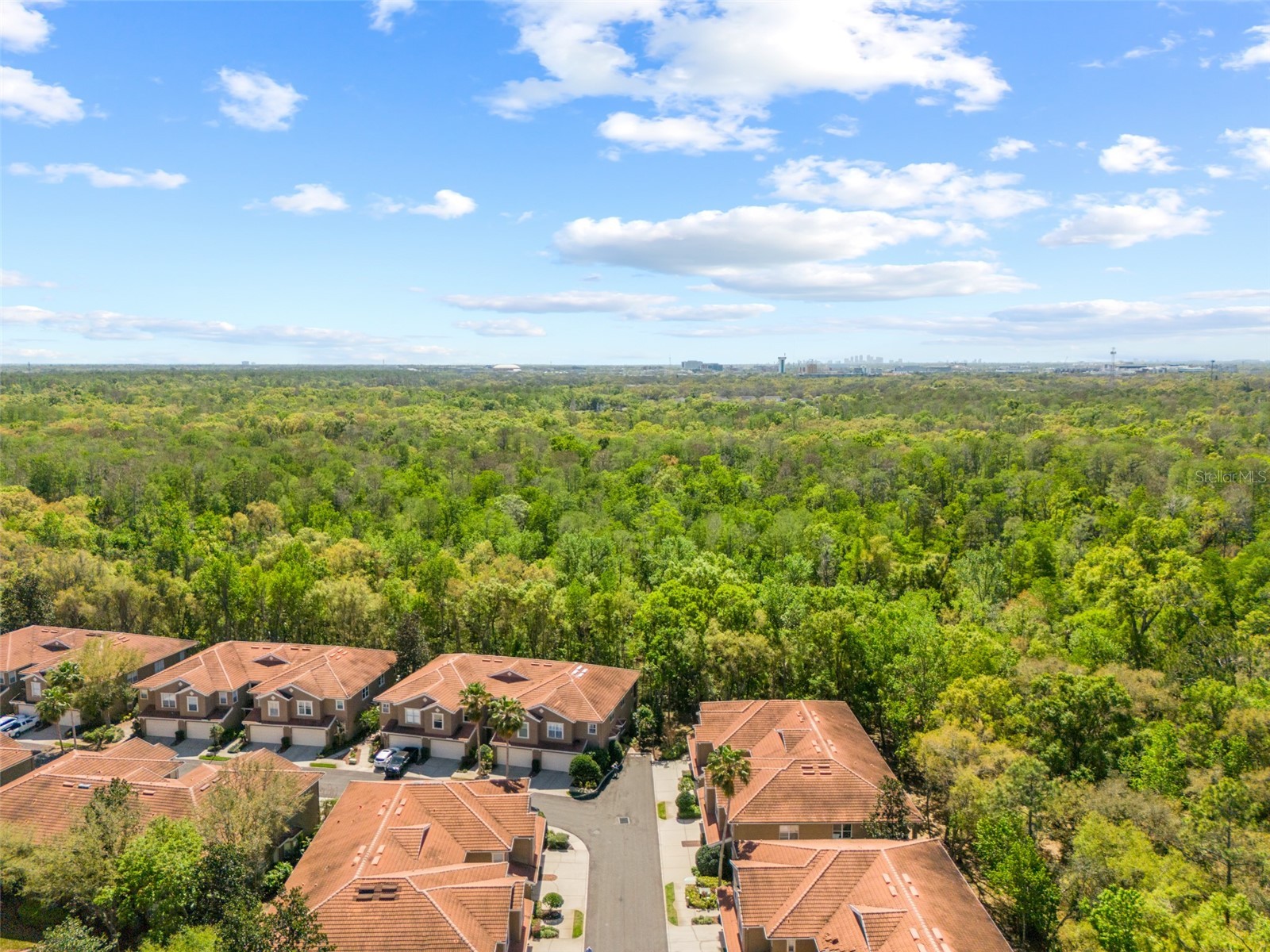 4926 Anniston Circle Tampa FL 33647 TB8484541 image78