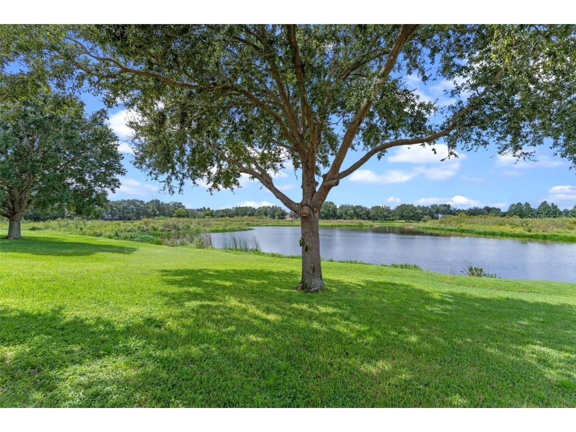 4926 Indian Deer Road Windermere FL 34786 O6346342 image37