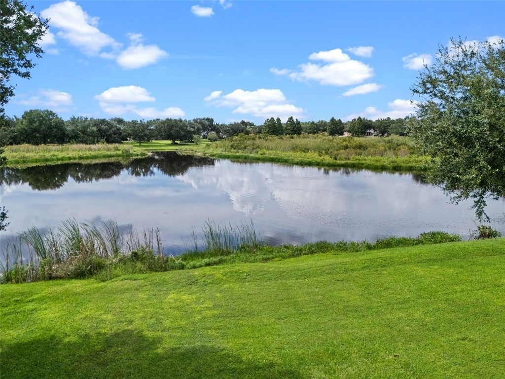 4926 Indian Deer Road Windermere FL 34786 O6346342 image41