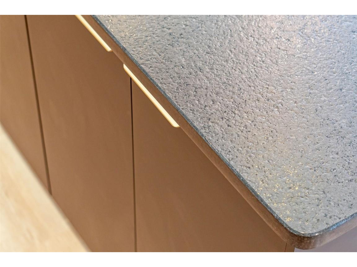 4926 Indian Deer Road Windermere FL 34786 O6346342 image9