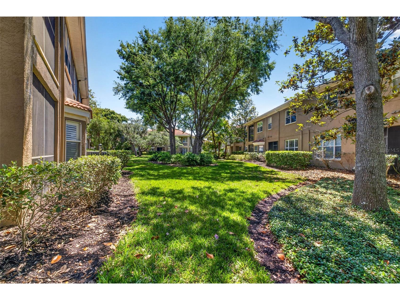 4927 Anniston Circle Tampa FL 33647 TB8502839 image50
