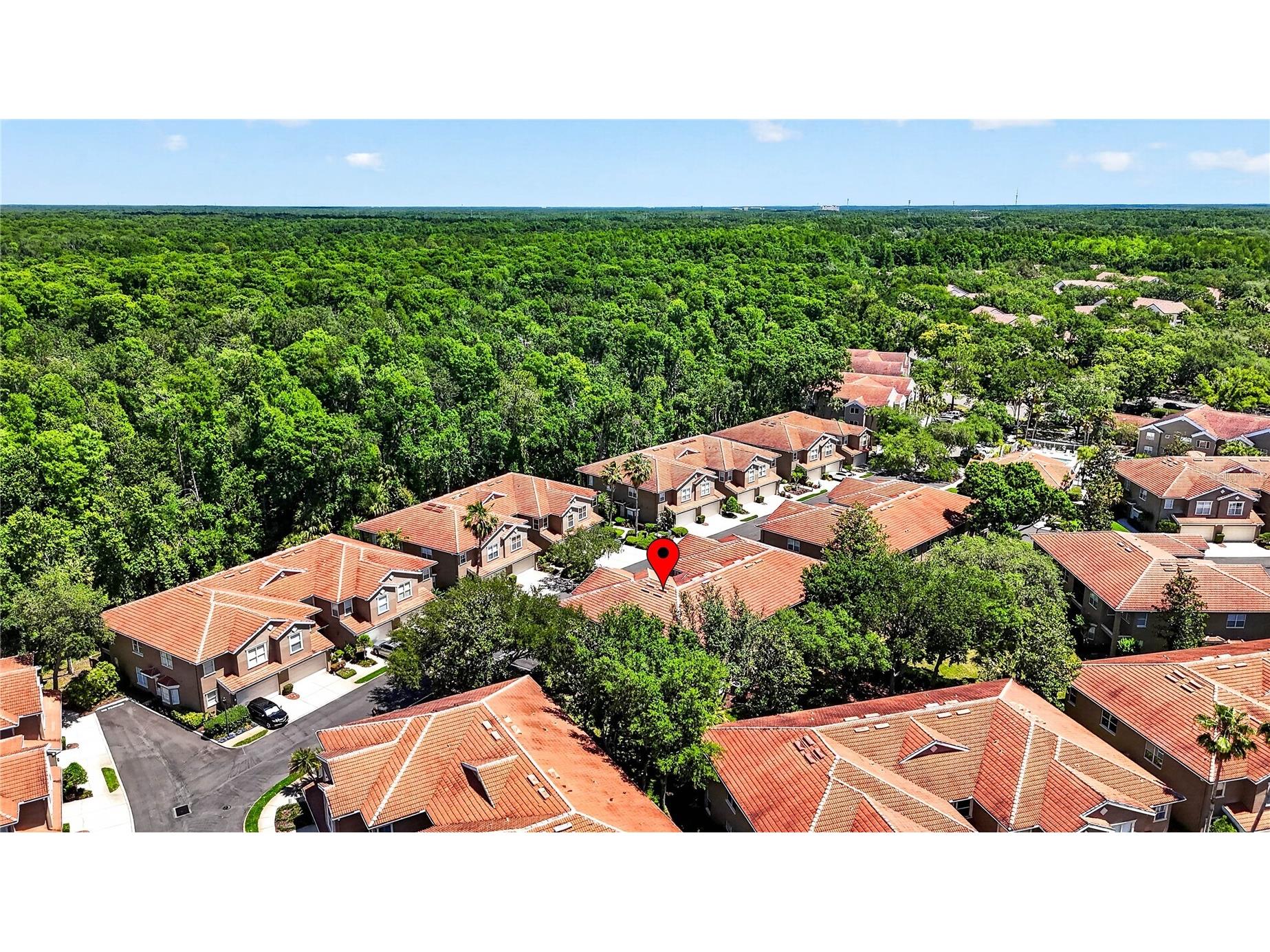 4927 Anniston Circle Tampa FL 33647 TB8502839 image56