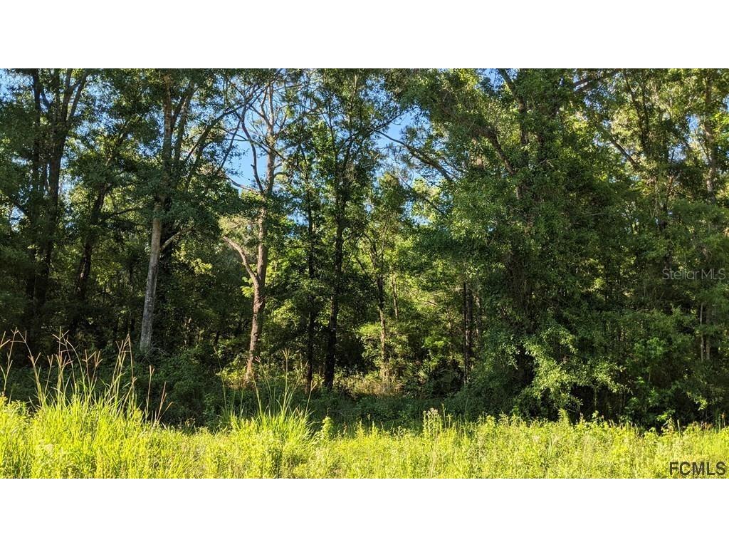 4927 Jonathan St Hastings FL 32145 FC292743 image1