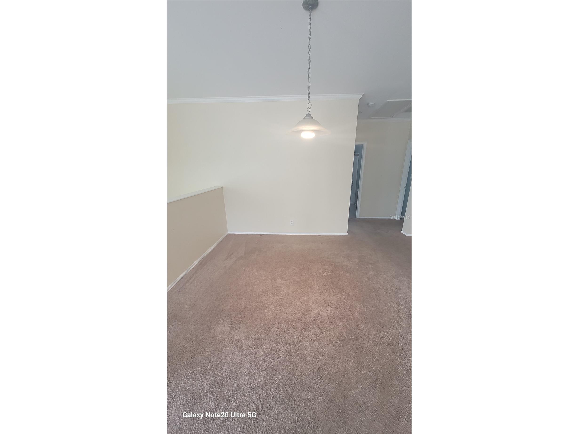 4927 Marina Palms Drive Port Richey FL 34668 TB8497216 image5