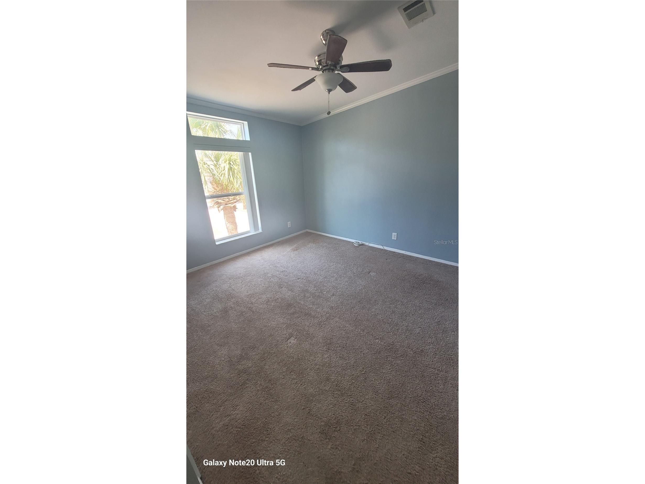 4927 Marina Palms Drive Port Richey FL 34668 TB8497216 image9
