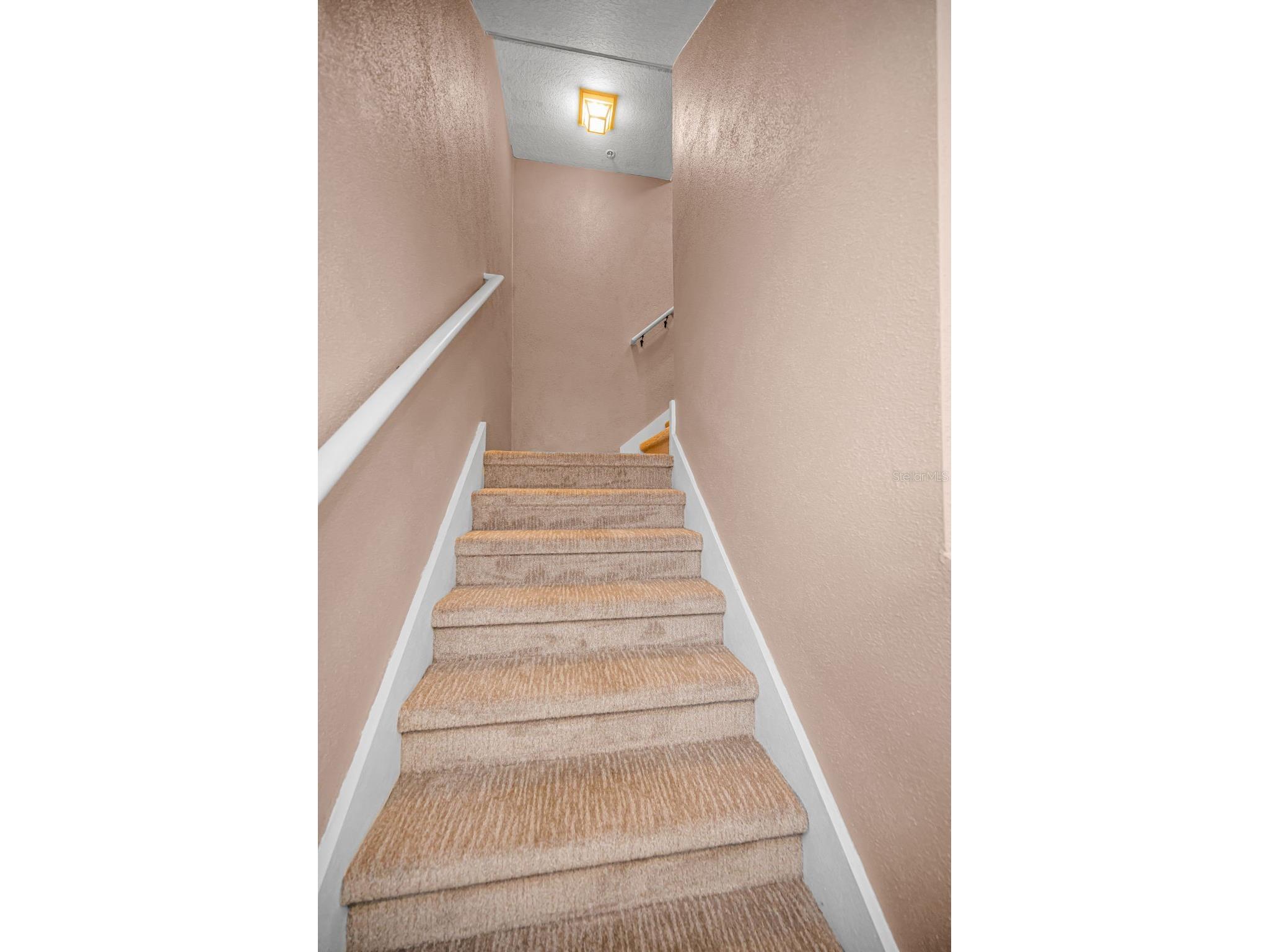 4928 Hammerhead Drive New Port Richey FL 34652 TB8497028 image10