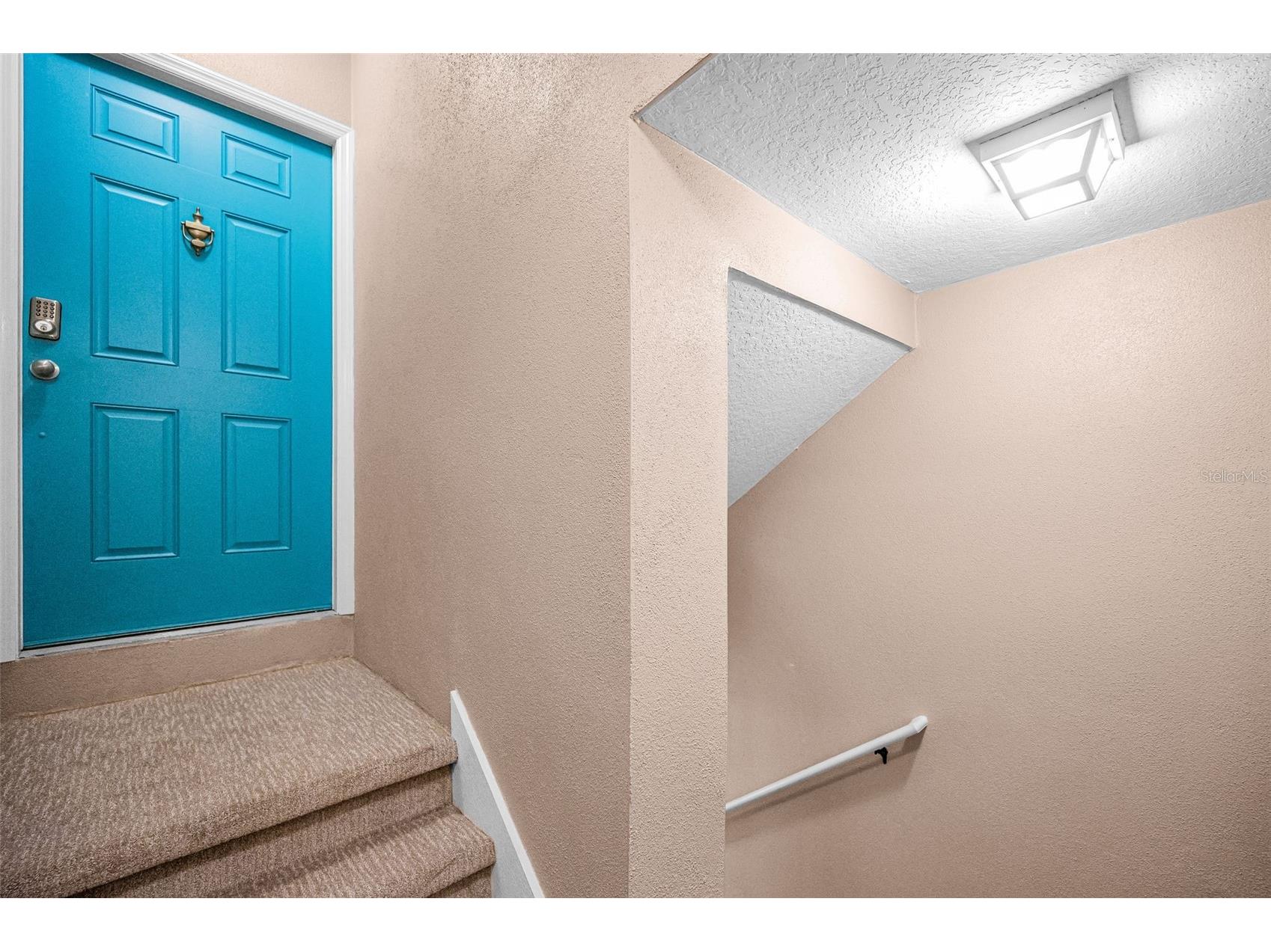 4928 Hammerhead Drive New Port Richey FL 34652 TB8497028 image11