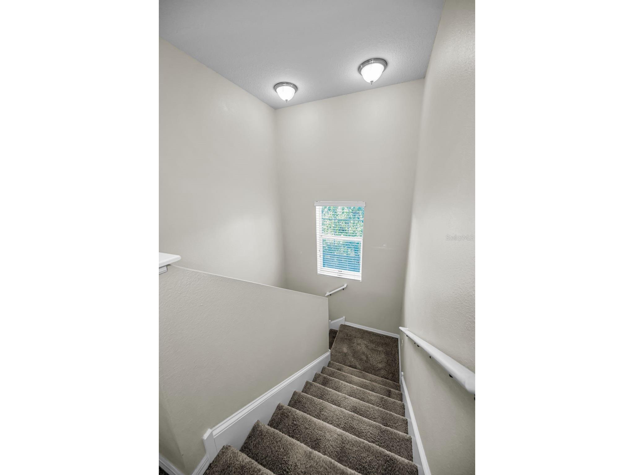 4928 Hammerhead Drive New Port Richey FL 34652 TB8497028 image51