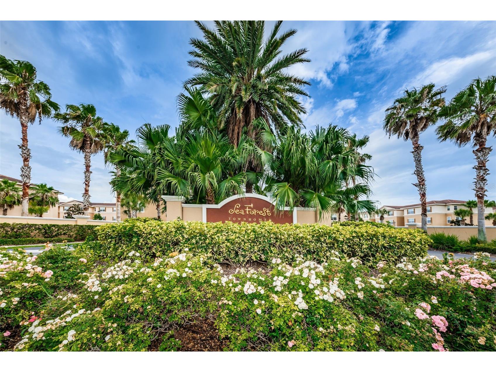 4928 Hammerhead Drive New Port Richey FL 34652 TB8497028 image60