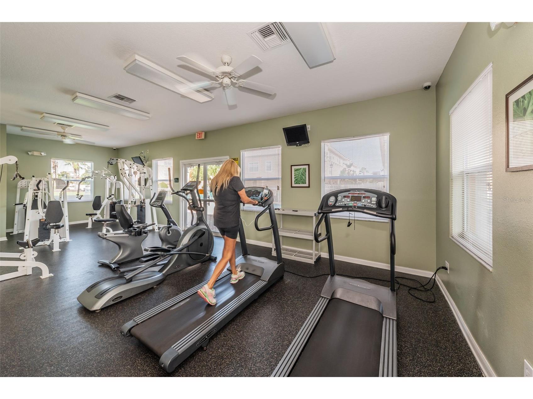 4928 Hammerhead Drive New Port Richey FL 34652 TB8497028 image73