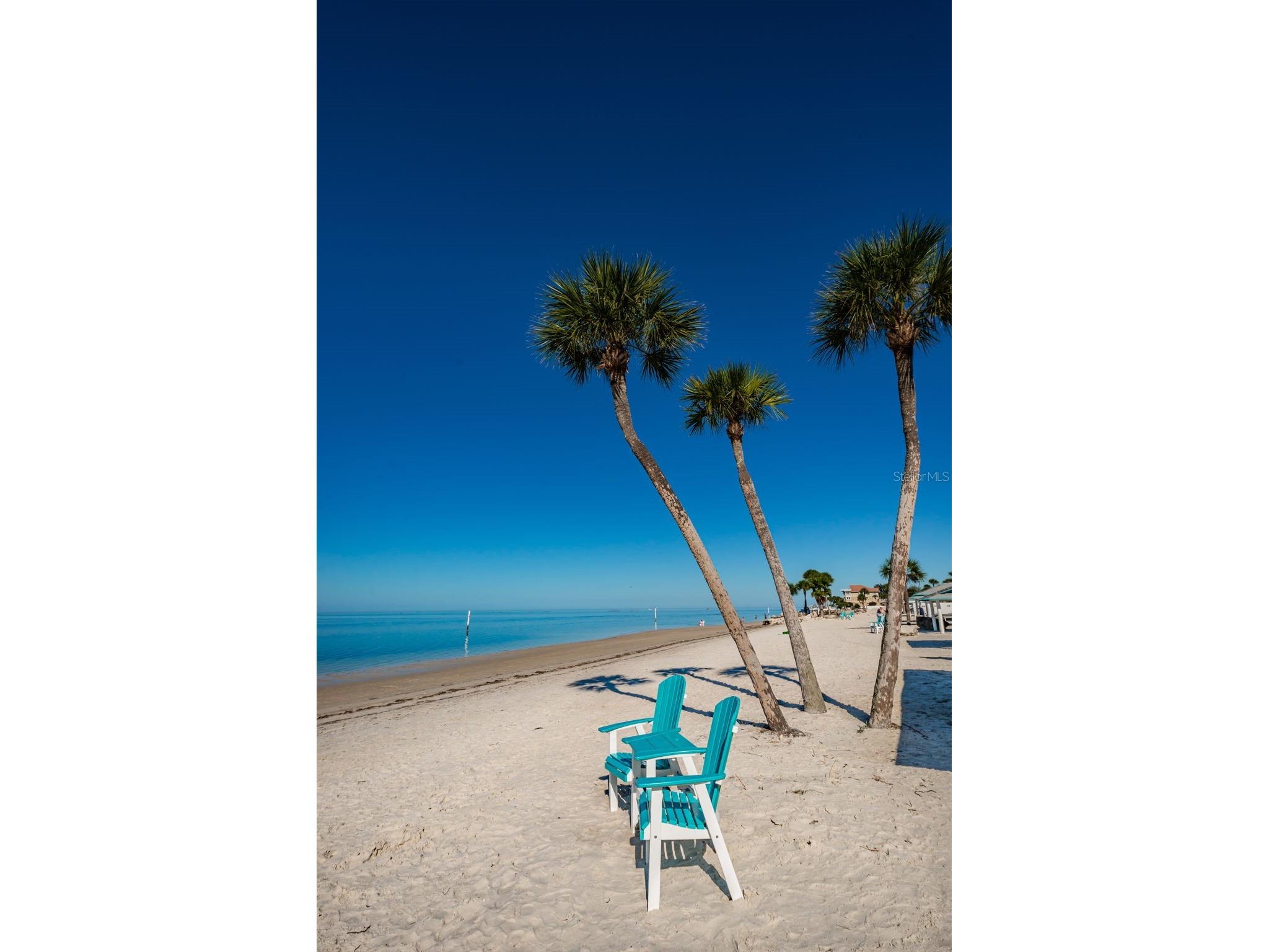 4928 Hammerhead Drive New Port Richey FL 34652 TB8497028 image88