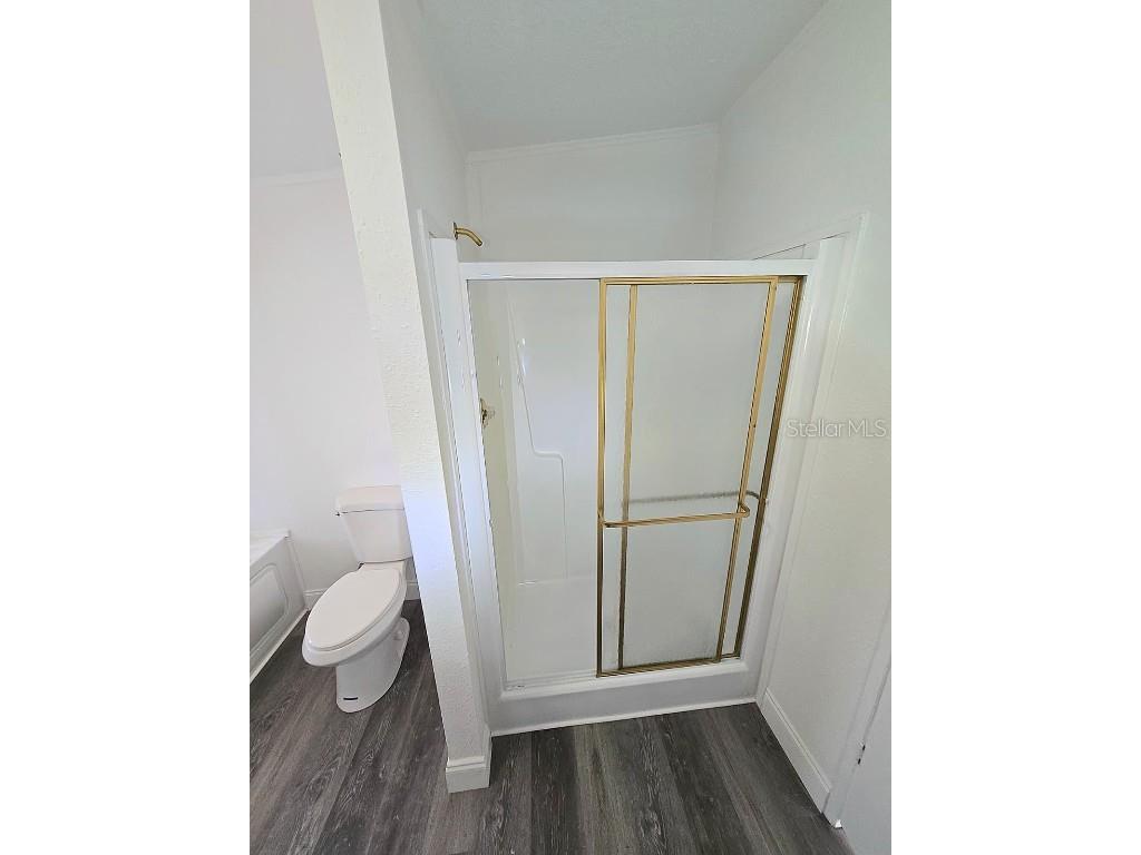 4928 Rollinglen Loop E Lakeland FL 33810 TB8454286 image40