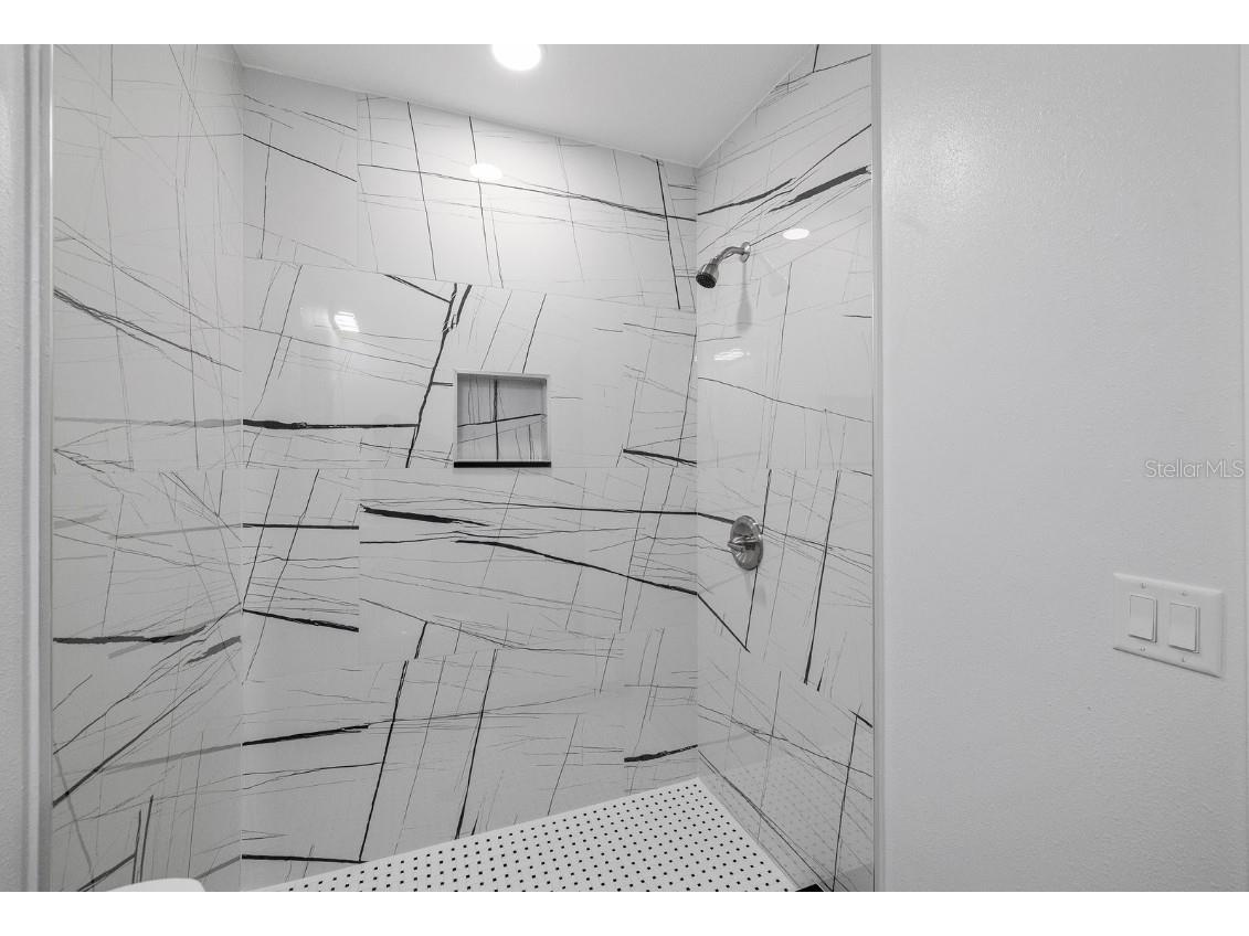 4928 Shetland Avenue Tampa FL 33615 TB8455065 image29