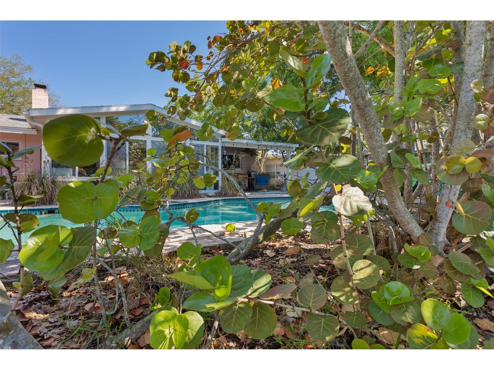 4928 W San Rafael Street Tampa FL 33629 TB8478765 image4