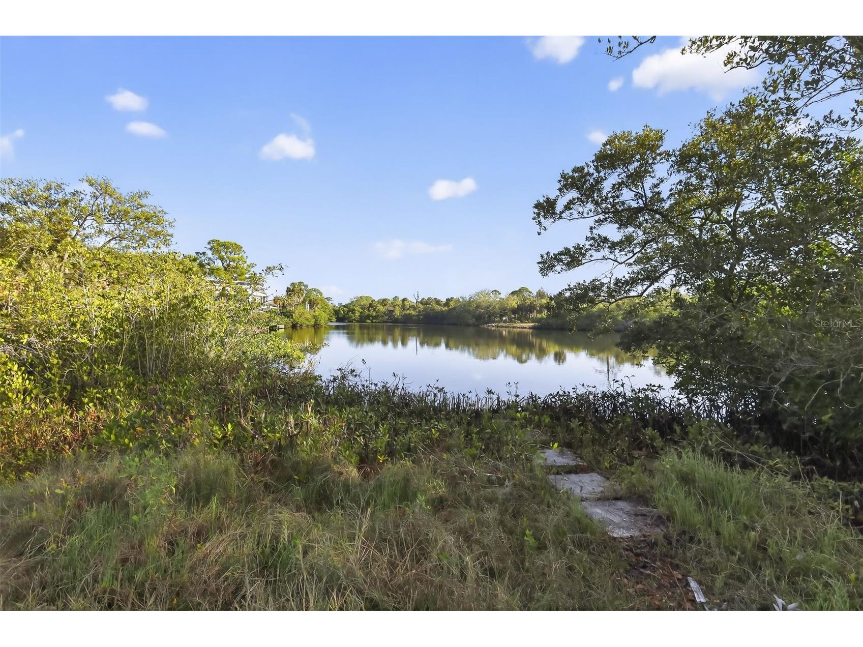 4929 Largo Terrace New Port Richey FL 34652 TB8495621 image34