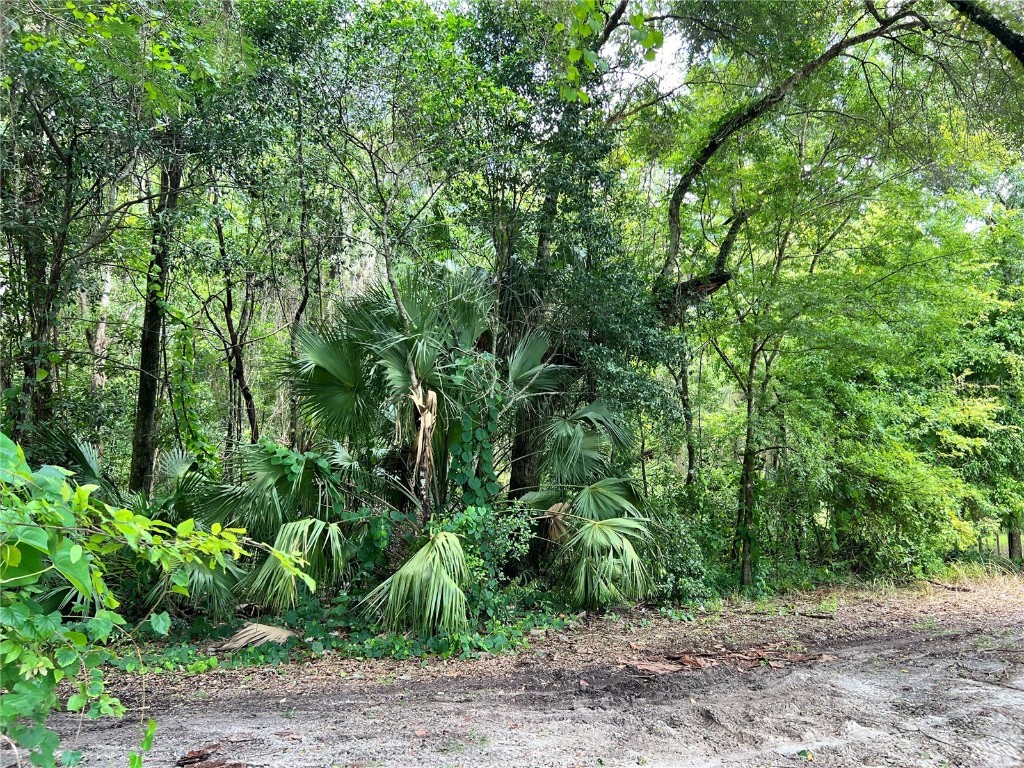 4929 SW 63rd Boulevard Gainesville FL 32608 GC524195 image1