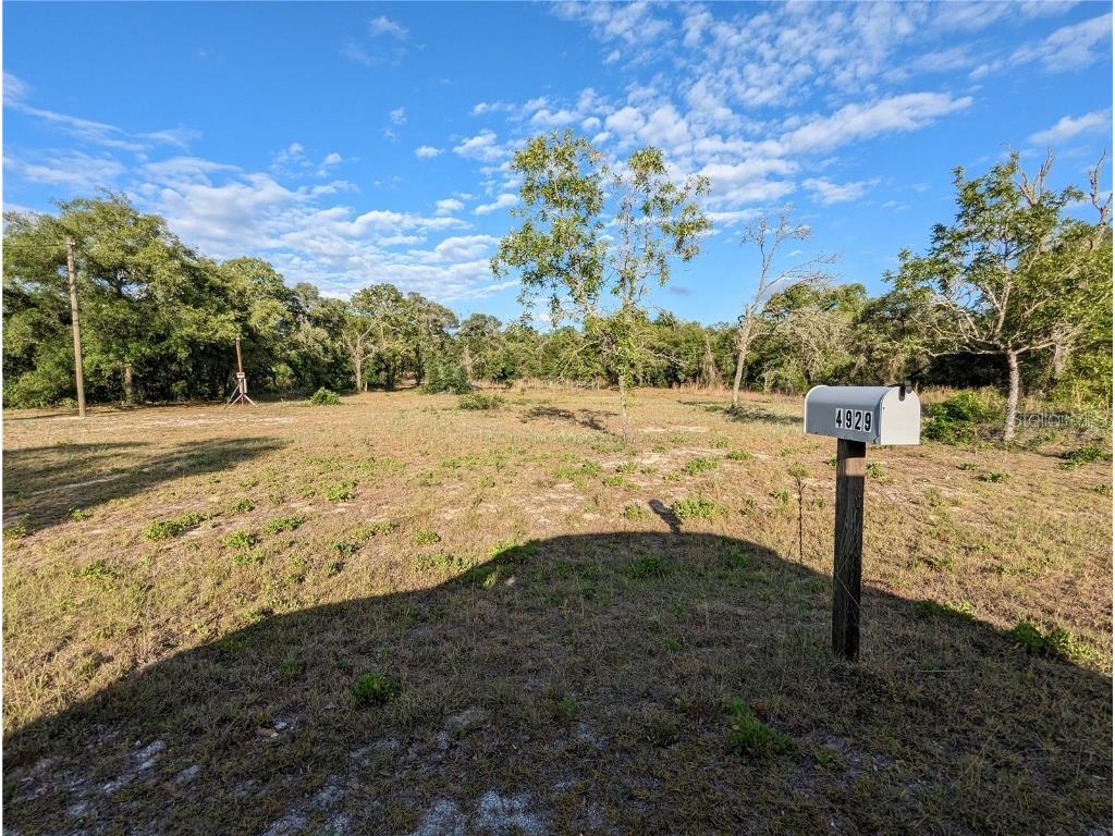 4929 SW Portulaca Court Dunnellon FL 34431 OM656917 image1