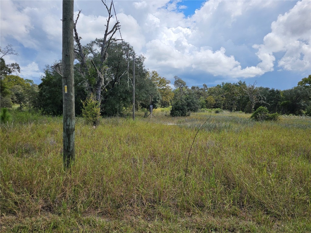 4929 SW Portulaca Court Dunnellon FL 34431 OM712156 image10