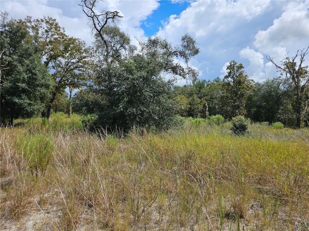 4929 SW Portulaca Court Dunnellon FL 34431 OM712156 image11