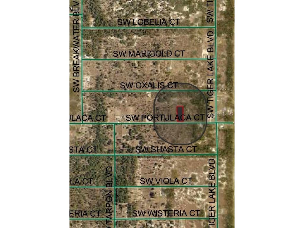 4929 SW Portulaca Court Dunnellon FL 34431 OM712156 image12