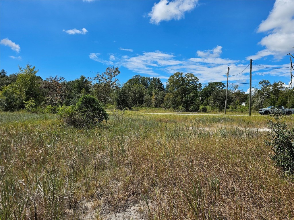 4929 SW Portulaca Court Dunnellon FL 34431 OM712156 image2