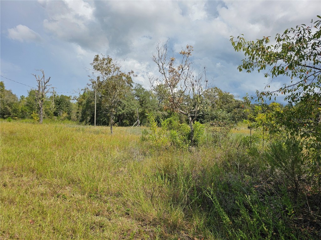 4929 SW Portulaca Court Dunnellon FL 34431 OM712156 image4