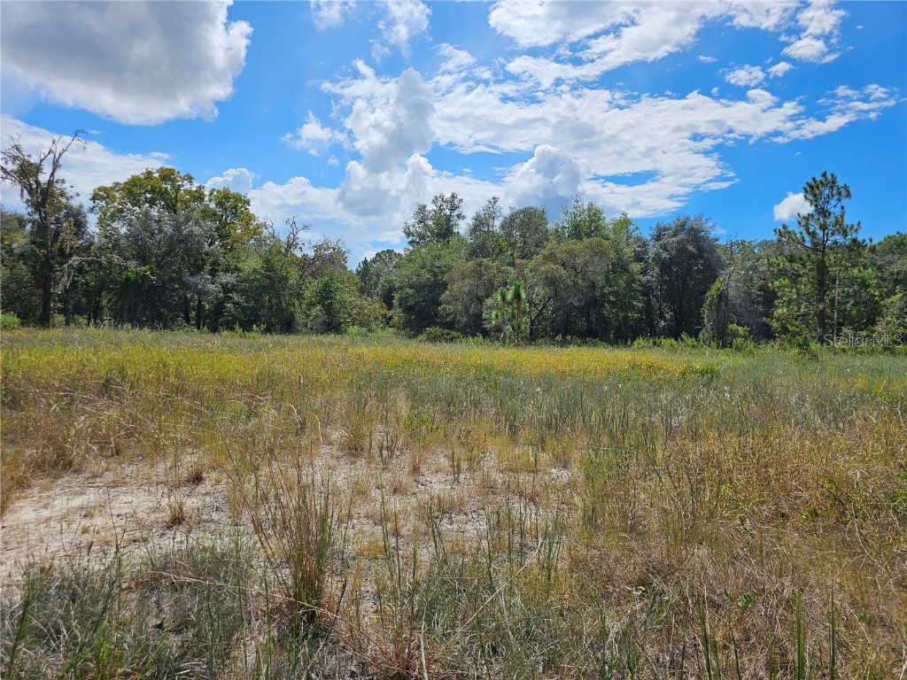 4929 SW Portulaca Court Dunnellon FL 34431 OM712156 image5