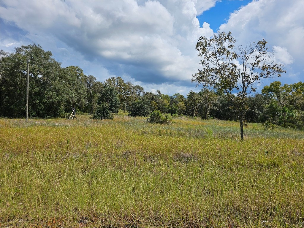 4929 SW Portulaca Court Dunnellon FL 34431 OM712156 image8