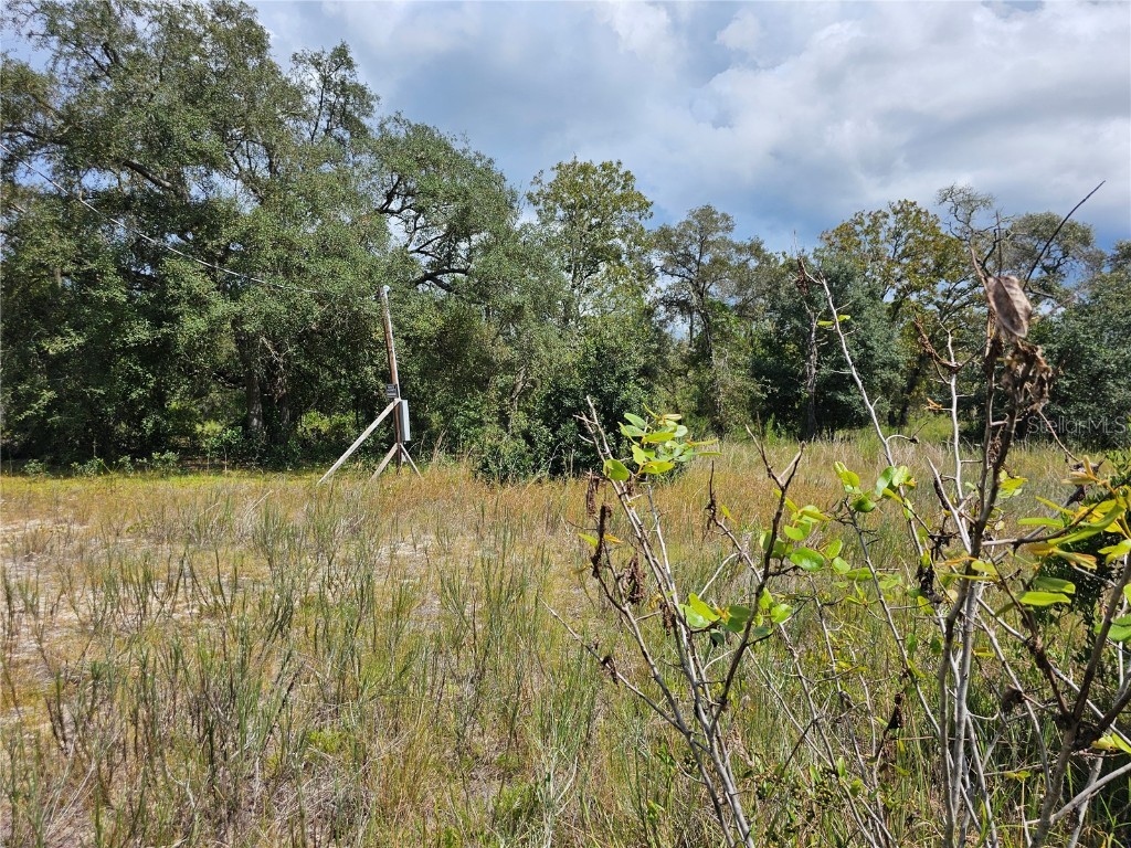 4929 SW Portulaca Court Dunnellon FL 34431 OM712156 image9