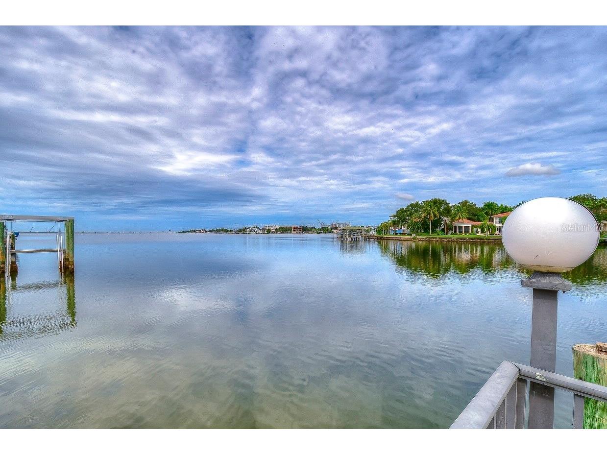 4929 W Bay Way Drive Tampa FL 33629 TB8518617 image2