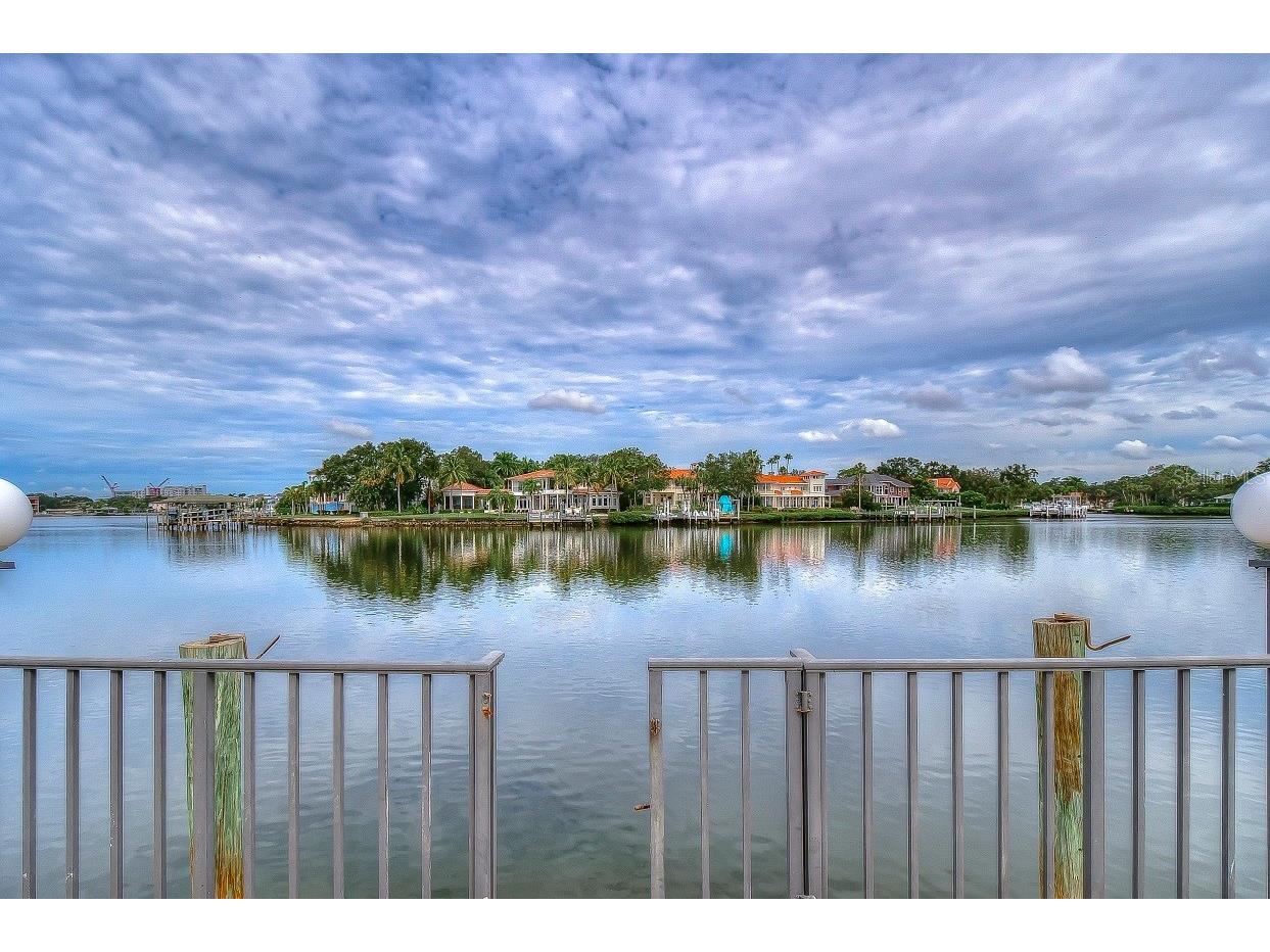 4929 W Bay Way Drive Tampa FL 33629 TB8518617 image3