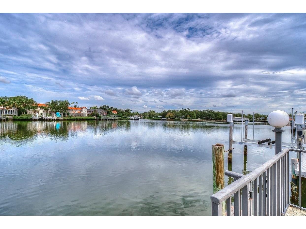 4929 W Bay Way Drive Tampa FL 33629 TB8518617 image4