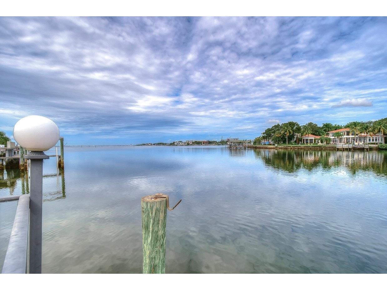 4929 W Bay Way Drive Tampa FL 33629 TB8518617 image5